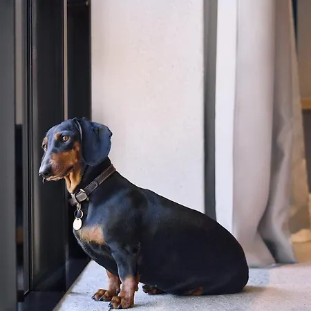 Belarosa - The Luxury Hideaway In The Swiss Alps